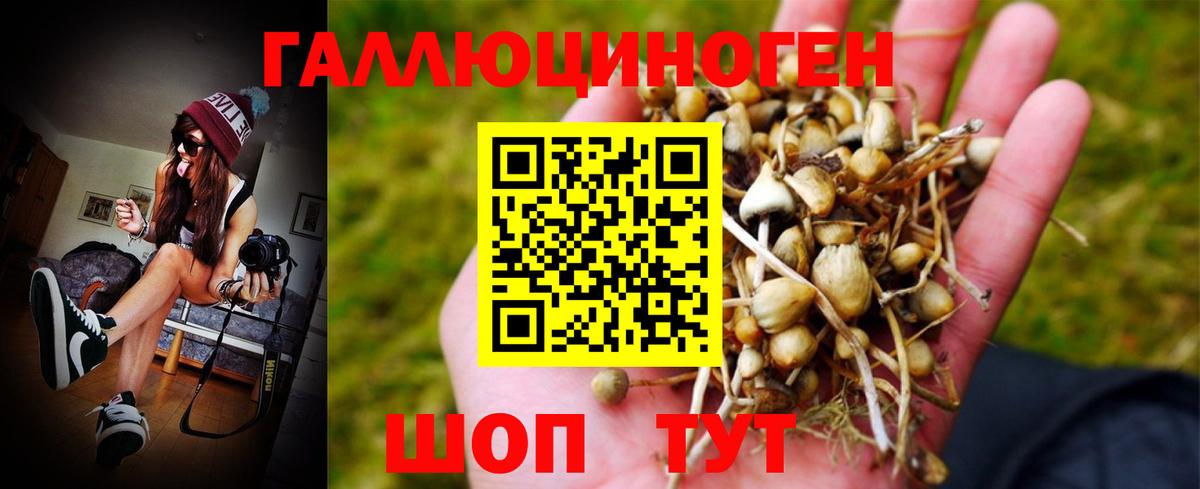 Псилоцибиновые грибы Psilocybine cubensis  Галлюциногенные грибы MAGIC MUSHROOMS  Кизилюрт  Вход с VPN 